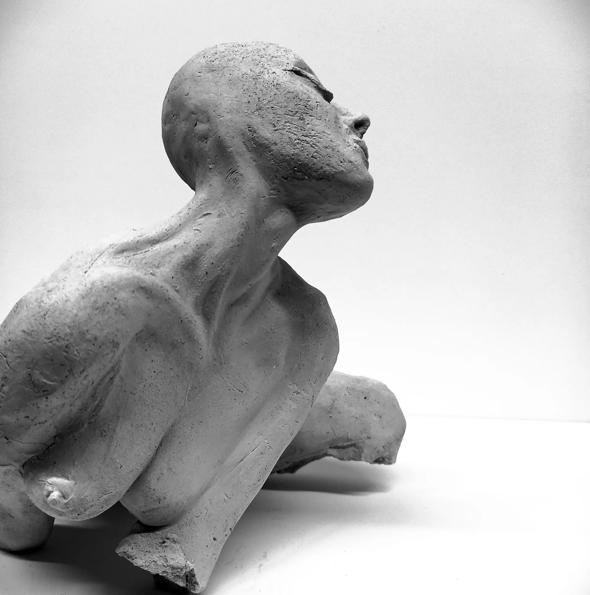 sculpture